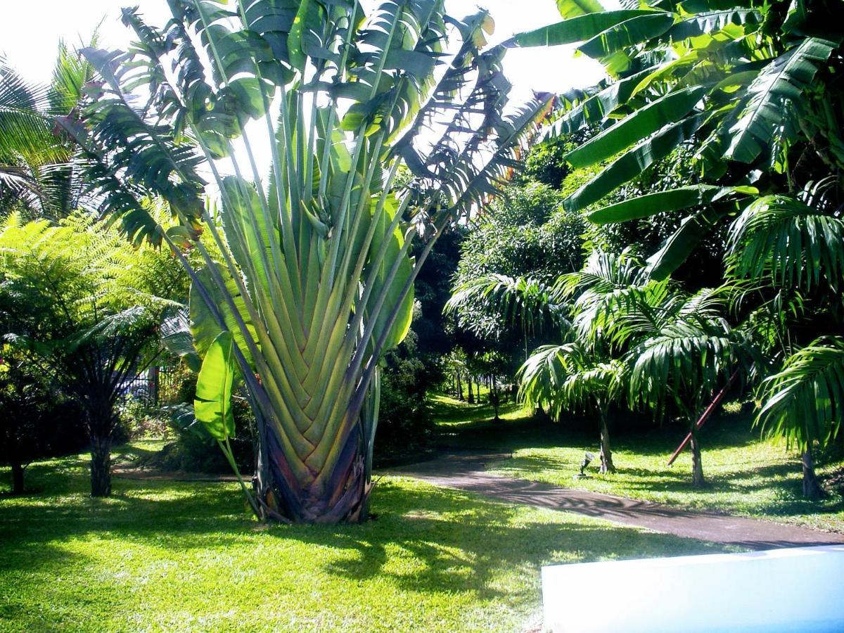 Villa Arbre Du Voyageur, 4 Etoiles Et 4 Clevacances Noël 外观 照片